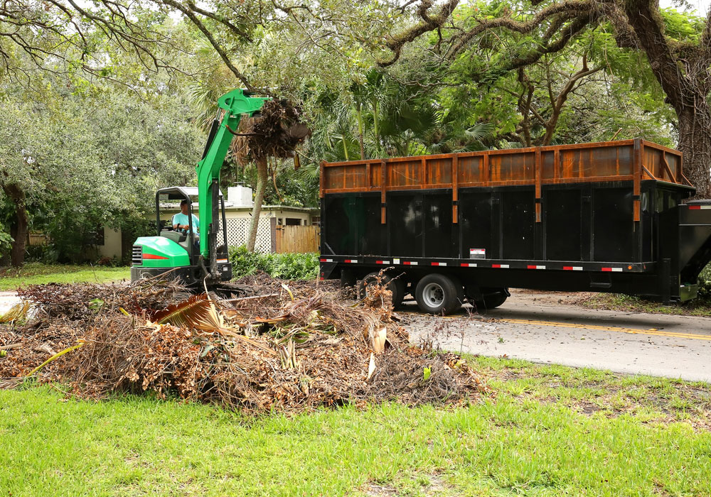 Yard Debris Removal