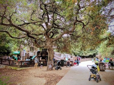 Rockridge-Temescal Greenbelt