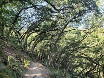 Huckleberry Botanic Regional Preserve