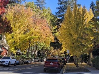 Calistoga