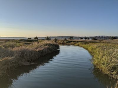 Radke Martinez Regional Shoreline Park